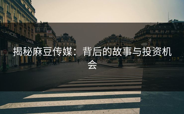 揭秘麻豆传媒:背后的故事与投资机会 第1张 揭秘麻豆传媒:背后的故事与投资机会 第1张