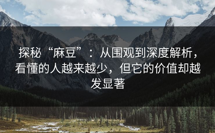 探秘“麻豆”：从围观到深度解析，看懂的人越来越少，但它的价值却越发显著  第1张
