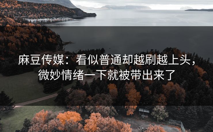 麻豆传媒:看似普通却越刷越上头,微妙情绪一下就被带出来了 第1张 麻豆传媒:看似普通却越刷越上头,微妙情绪一下就被带出来了 第1张