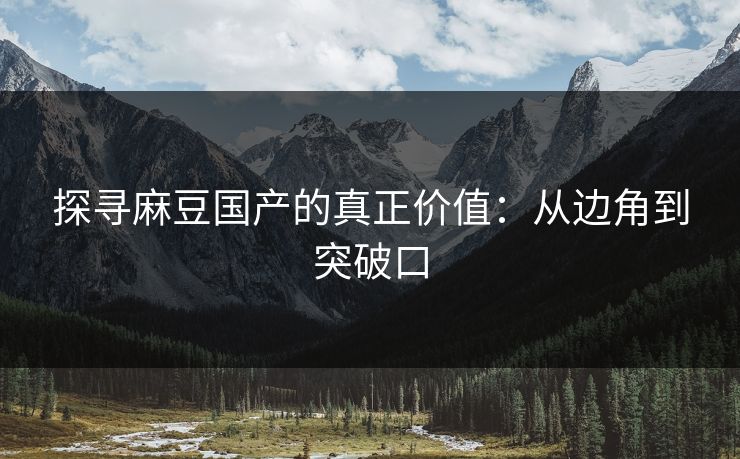 探寻麻豆国产的真正价值：从边角到突破口  第1张
