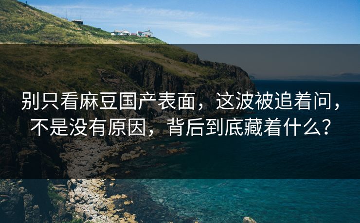 别只看麻豆国产表面，这波被追着问，不是没有原因，背后到底藏着什么？  第1张