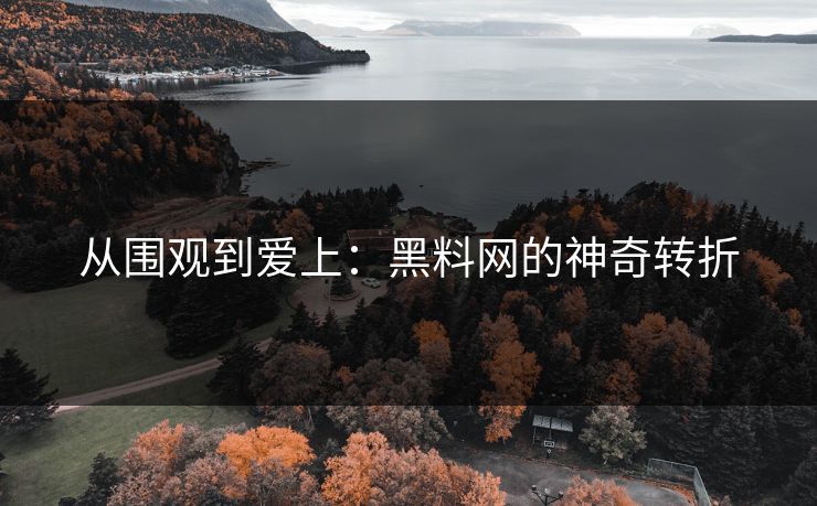 从围观到爱上：黑料网的神奇转折  第1张