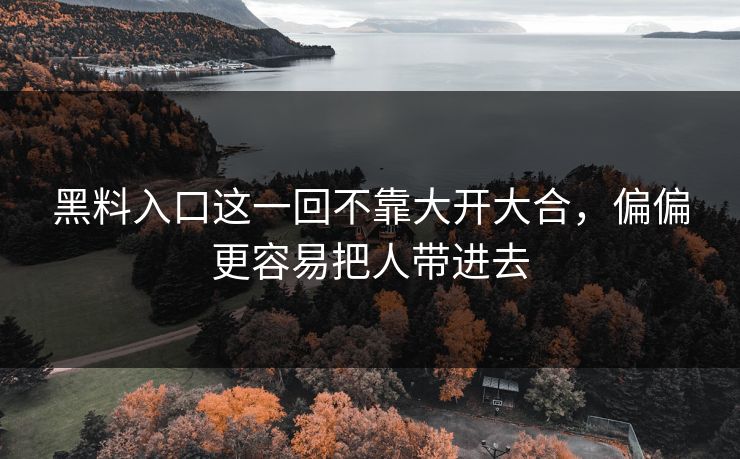 黑料入口这一回不靠大开大合,偏偏更容易把人带进去 第1张 黑料入口这一回不靠大开大合,偏偏更容易把人带进去 第1张